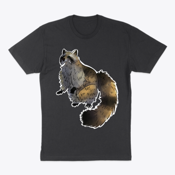 Raccoon