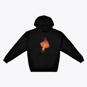 Anomalocaris