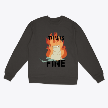 This is fine:)