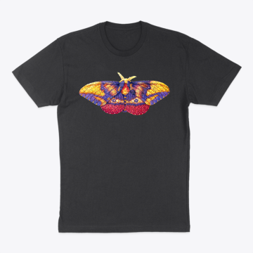 Imperial Moth
