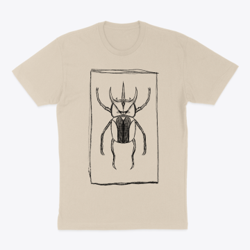 Beetle