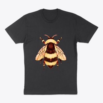 Cute and Fuzzy Honeybee Bug