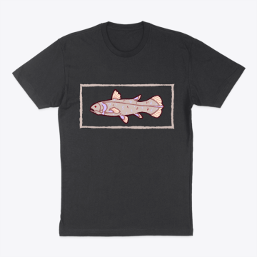 Coelacanth - (no text, albino variant)