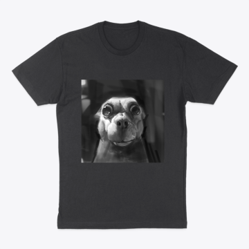 Dawg