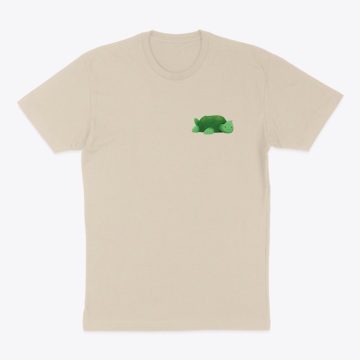 Delulu turtle