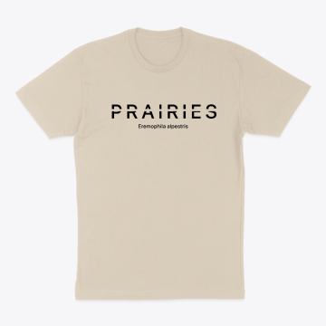 Prairies /Canadian souvenir