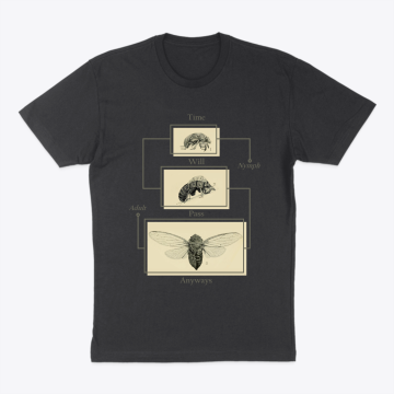Cicada design - Time will pass anyways