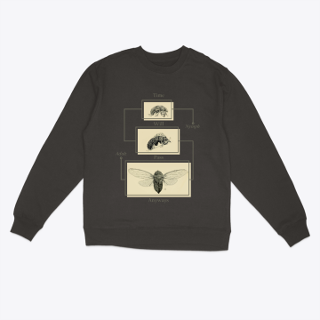 Cicada design - Time will pass anyways