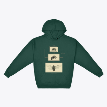 Cicada design - Time will pass anyways