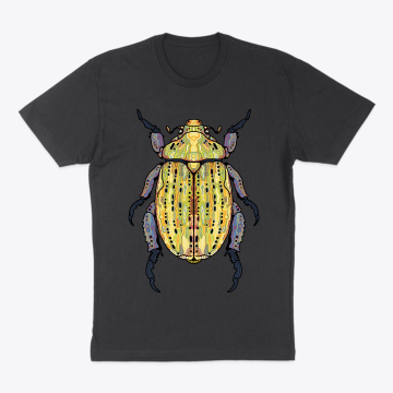 Christmas beetle