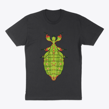 Monteith’s Leaf Bug 1