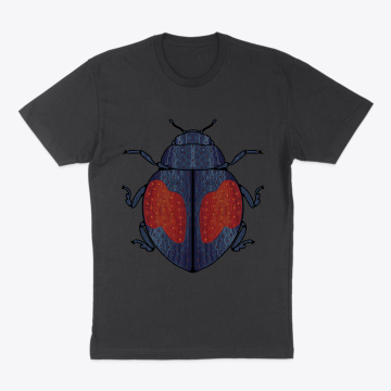 Lady bug 1