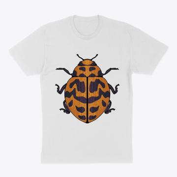 Ladybug 4