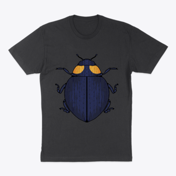 Ladybug 5