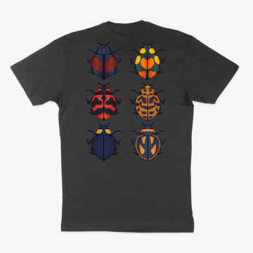 LADYBUGS