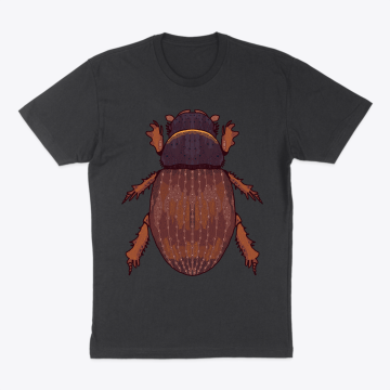 Brown beetle