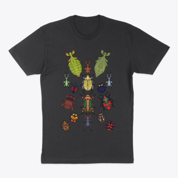 INSECTS