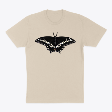 Butterfly Black SwallowTail
