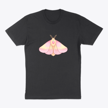 strawberry maple moth
