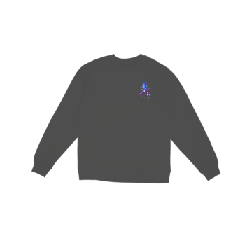 Neon Spider Sweatshirt