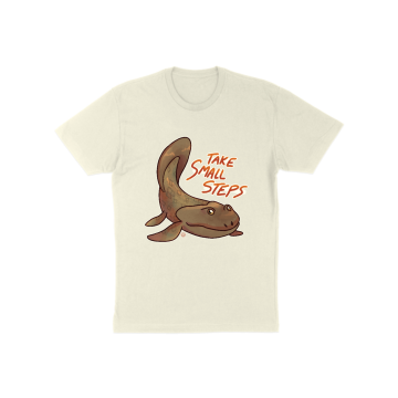 Take Small Steps T-Shirt