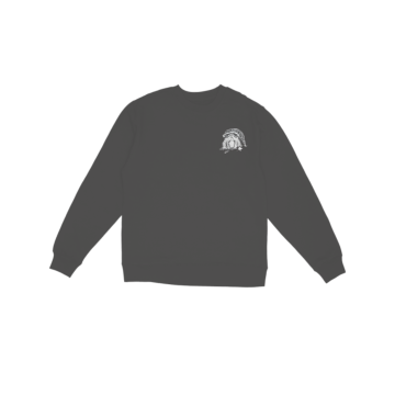 Wizard Frog Sweatshirt