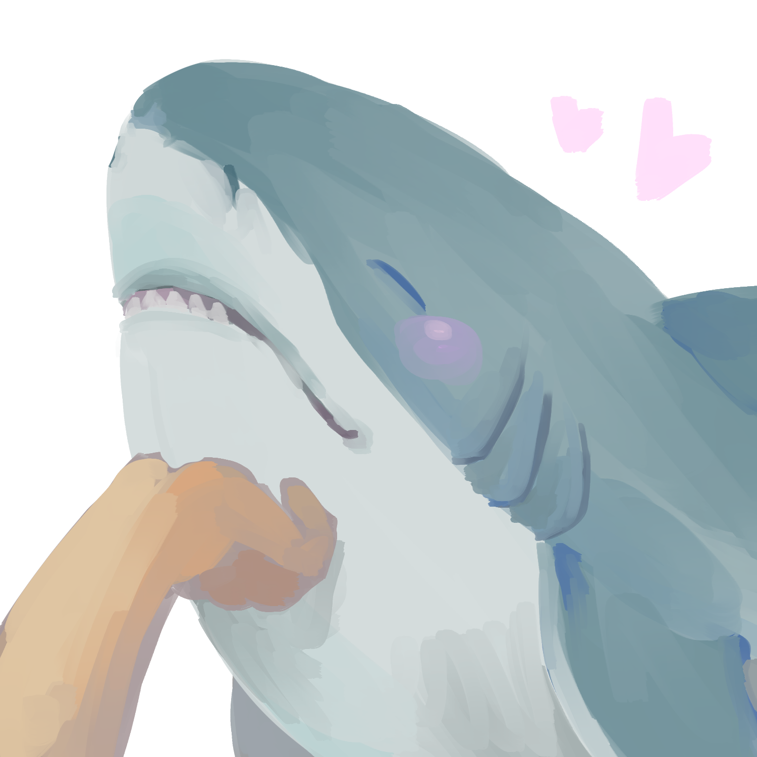 marinelnsharks